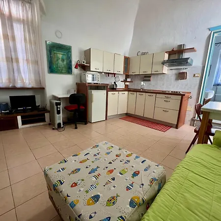 Terrace In Pigna -
